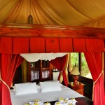 Shangri-Lao Tent (3)