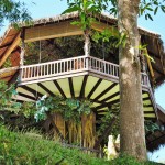 Shangri-Lao tree house