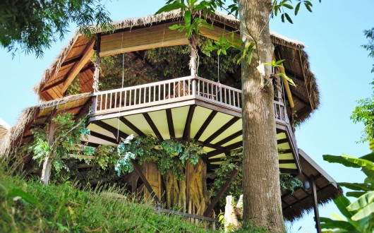 Shangri-Lao tree house